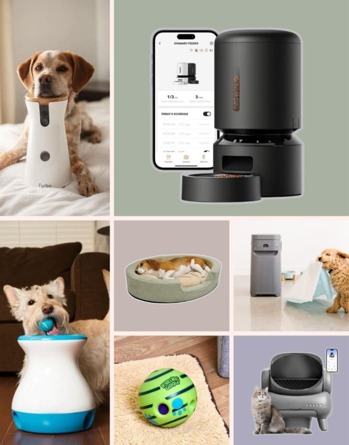 Smart pet gadgets showcase